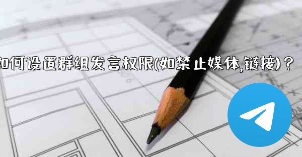 Telegram如何設置群組發言權限（如禁止媒體、鏈接）？;telegram如何设置群组发言权限(如禁止媒体,链接)？