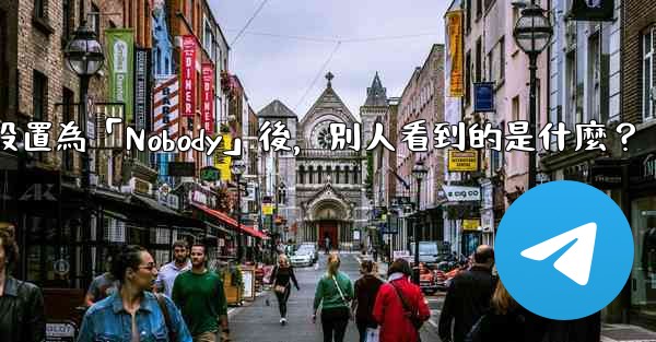 <b>電報設置為「Nobody」後，別人看到的是什麼？</b>