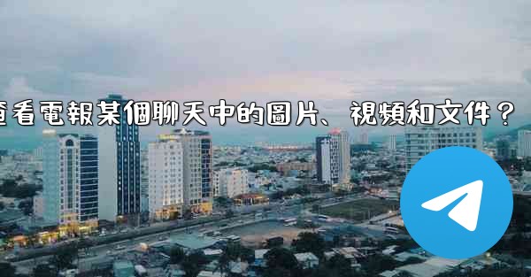 如何只查看電報某個聊天中的圖片、視頻和文件？