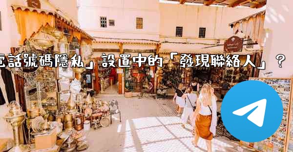 在電報使用中，什麼是「電話號碼隱私」設置中的「發現聯絡人」？