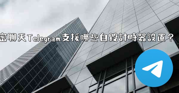 秘密聊天Telegram支援哪些自毀計時器設置？