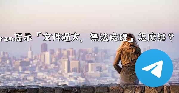 <b>Telegram提示「文件過大，無法處理」怎麼辦？</b>