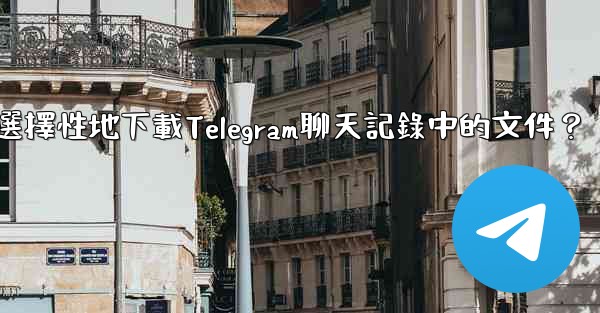 如何選擇性地下載Telegram聊天記錄中的文件？