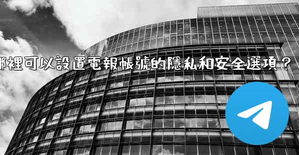 在哪裡可以設置電報帳號的隱私和安全選項？