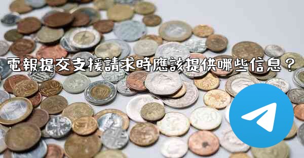 電報提交支援請求時應該提供哪些信息？